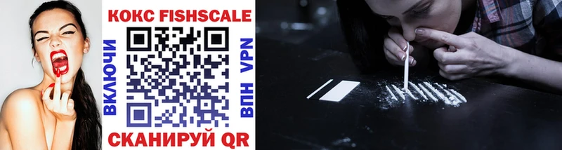 Купить закладки Сураж COCAIN Fish Scale