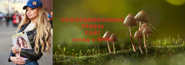 тгк Бородино
