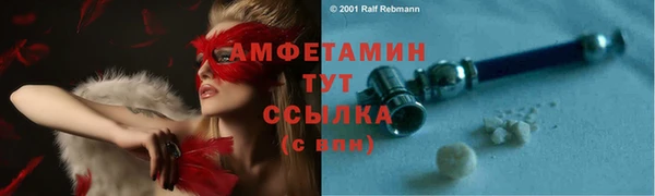 тгк Бородино