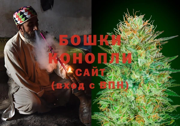 тгк Бородино