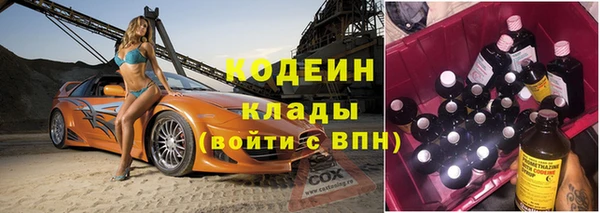 тгк Бородино