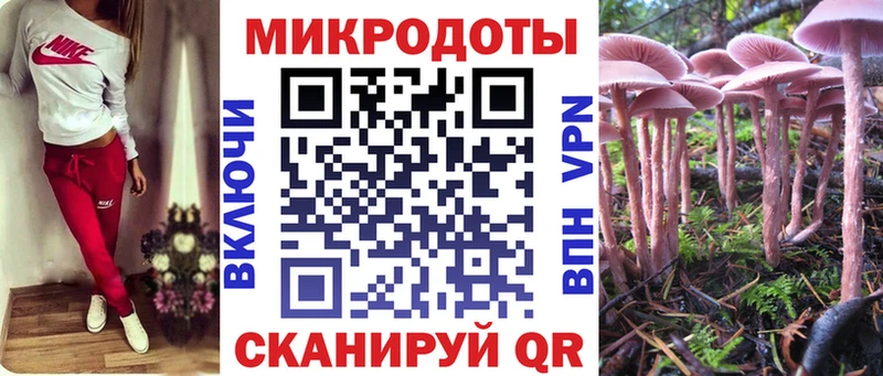 Псилоцибиновые грибы Psilocybe  Купить где  Сураж 