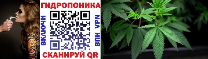 Каннабис марихуана  Купить закладки  Сураж 